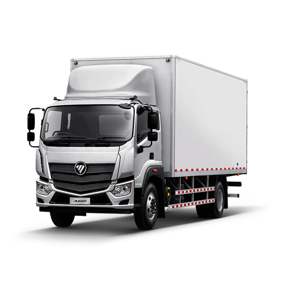 Foton D12